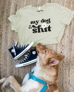 a dog laying on top of a couch next to shoes and a t - shirt