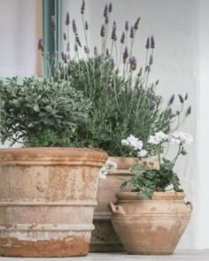 two large clay pots with lavender and white flowers in them sitting on a ledge next to a window