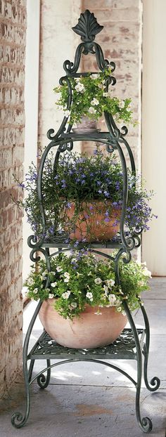 Iron Plant Stand, Porch Plants, Iron Plant, Have Inspiration, Garden Containers, Flowers Garden, Garden Cottage, Container Plants, Dream Garden