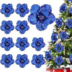 blue flowers are placed next to a christmas tree