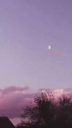 the moon is visible in the purple sky