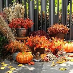 an assortment of autumn plants and pumpkins on the ground in front of a fence