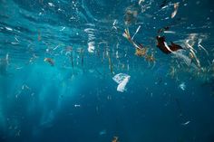 the ocean is full of plastic bags and trash floating on the water's surface