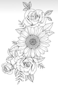 black and white drawing of sunflowers with leaves on the bottom, in a line art style