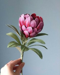 a pink flower with green leaves is held up in the air by someone's hand