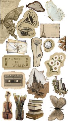 a collage of old fashioned items including books, butterflies and other things that are on display