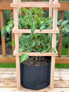 a potted plant sitting on top of a wooden shelf