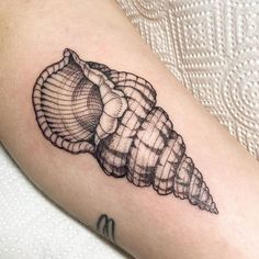 a black and white photo of a sea shell tattoo on the right arm, with an upper half visible