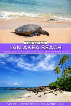 two pictures with the words, things to see and what to do in lanikaea beach