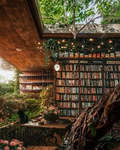 the bookshelf is filled with lots of books and plants in front of it