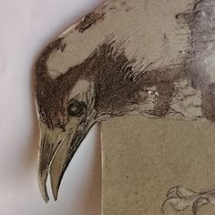 a drawing of a bird with long beaks and an open mouth, on top of a piece of paper