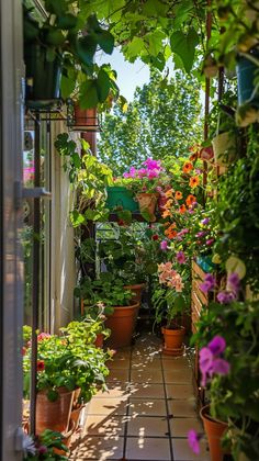 an outdoor garden with potted plants and flowers