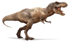 a dinosaur with its mouth open and it's teeth wide open, standing in front of a white background