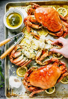 a tray with cooked lobsters, lemon slices and parmesan cheese on it