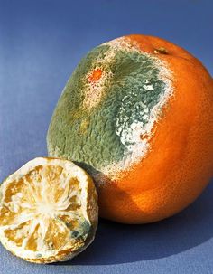 an orange that has been peeled and is sitting next to it's whole fruit