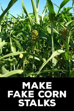 How to Make Fake Corn Stalks Diy Corn Field Decoration, Diy Fake Hay Bales, How To Make Corn Stalks, Corn Shocks Ideas, Fake Corn Stalks Diy, Diy Cornstalk Decorations, Corn Stalks Decorations Diy, Diy Corn Stalks, Corn Stalks Front Porch