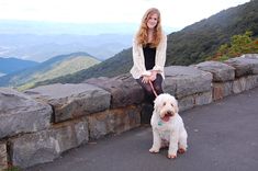 a woman sitting on top of a stone wall next to a white dog