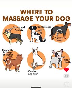 an image of a poster with dogs and their names on the front page, where to massage your dog