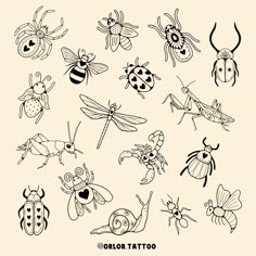 bug flash 🐜🕷️🐞🪲 I’ve decided to do two separate bug flash sheets as I had too many ideas and then you lovely lot gave me loads more ideas when I asked on my stories 😅 so keep your eyes pealed for the second sheet soon to come too! all available for handpoke, in black or colour. swipe along for colour samples! message or use my booking form to enquire. I always do deals when you book more than one design in a session. weekends and evenings available too :) @harmlesstattoo Braintree, Essex ... Small Doodle Tattoo Ideas, Cute Bug Tattoos For Women, Ladybug With Hearts Tattoo, Bug Flash Tattoo, Fall Tattoo Flash, Bug Tattoo Flash, Cute Bug Tattoo, Tattoo Flash Sheet Ideas, Bug Tattoos For Women