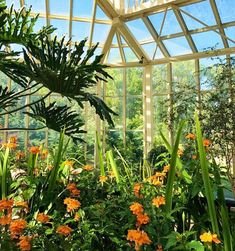 the inside of a glass house with lots of plants and flowers in front of it