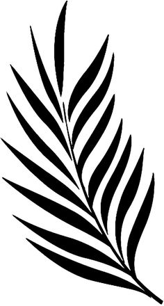 a black and white drawing of a leaf