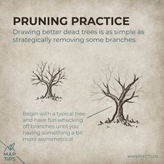 a tree that has been pruning practice