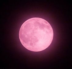 the full pink moon is seen in the dark sky