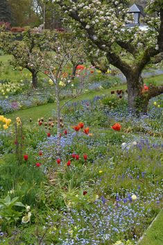 a field full of colorful flowers and trees