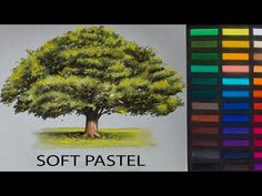 a drawing of a tree with the words soft pastel on it and colored pencils next to it