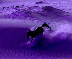 a horse is galloping through the purple sand