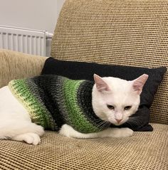 a white cat wearing a green and black sweater on a couch next to a pillow