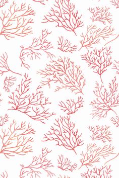 red corals on white background for wallpaper or fabric, with the words sea life written