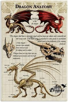 an image of a dragon anatomy chart