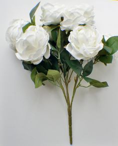 three white roses with green leaves against a white wall