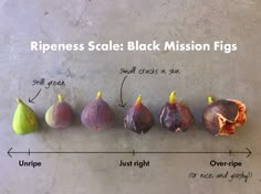 an image of different types of black mission figs on a concrete surface with the words ripeness scale