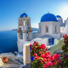 the blue and white buildings are overlooking the water with flowers growing in front of them