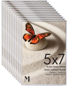 a set of five books with an image of a butterfly sitting on top of it