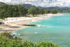 people are on the beach and in the water near some trees with mountains behind them