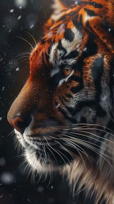 Tiger Paintings, Tiger Photography, Tiger Jewelry, Wild Animal Wallpaper, Aesthetic Motivation, Tiger Artwork, Panther Art, Tiger Wallpaper, Tiger Love