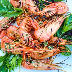 fresh shrimp with herbs and parsley on a white plate, ready to be eaten