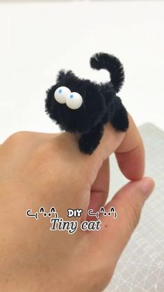 a hand holding a tiny black cat with white eyes