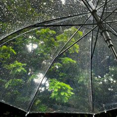 an open umbrella with rain drops on it in front of some trees and bushes,