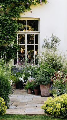 an assortment of plants and flowers in front of a house with a window on the side