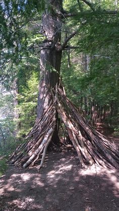 a teepee in the woods with lots of sticks sticking out of it's sides