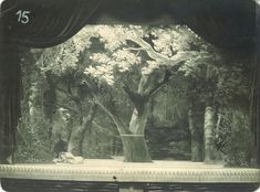 an old photo of a stage with trees in the middle and curtains on either side