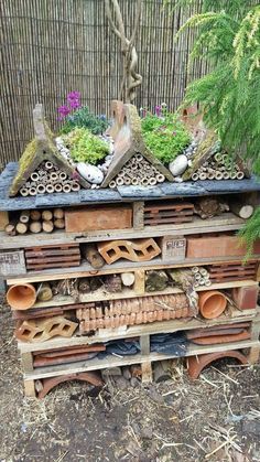 an old wooden box filled with lots of plants and other things on top of it