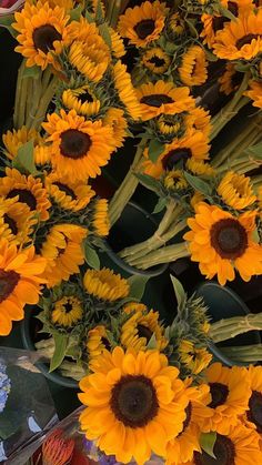 a bunch of sunflowers that are yellow and brown