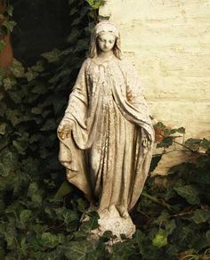 a statue of the virgin mary surrounded by ivy