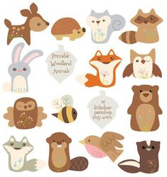 an assortment of woodland animals and their names