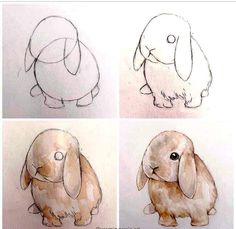 four drawings of different types of animals in various stages of development, including a rabbit and an elephant